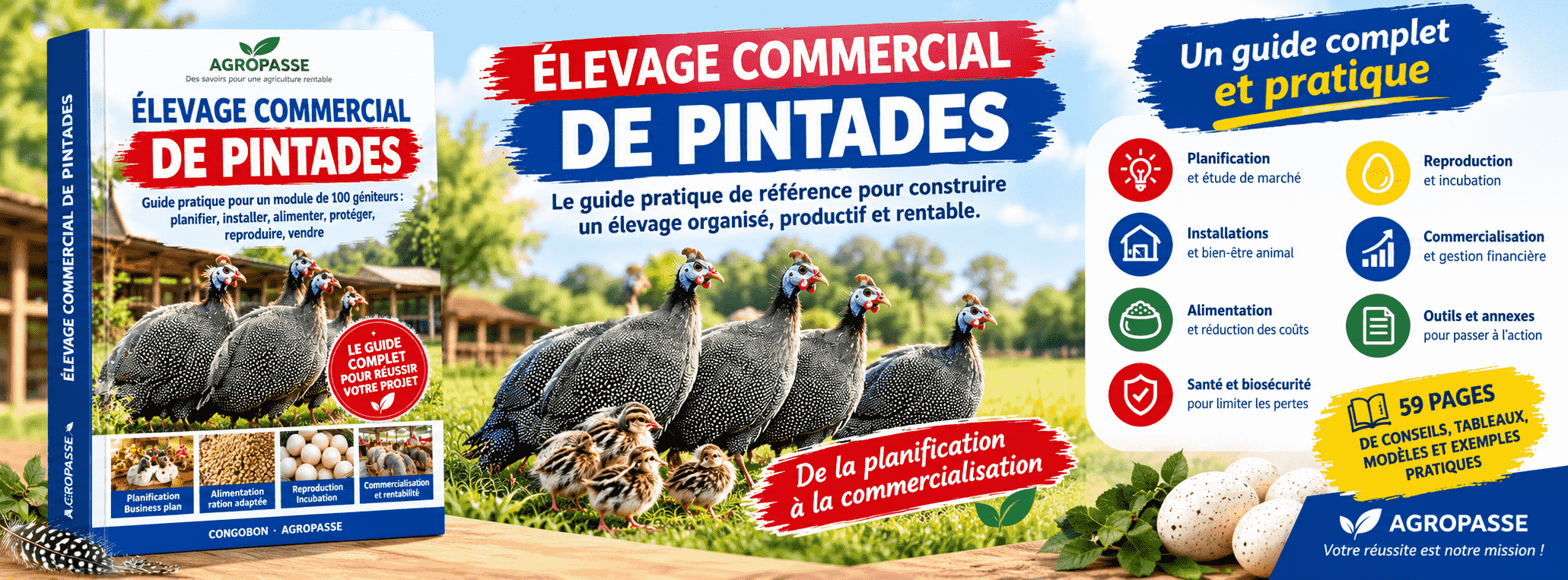 Guide d’Élevage commercial de Pintades - Planification à la Commercialisation + Annexes