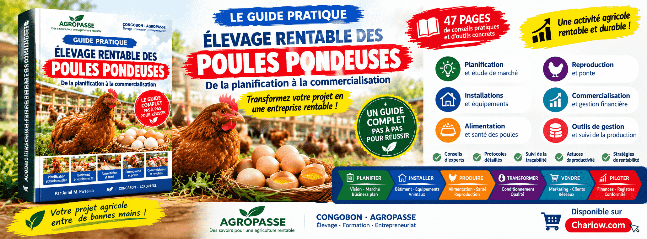 ÉLEVAGE COMMERCIAL DES POULES PONDEUSES