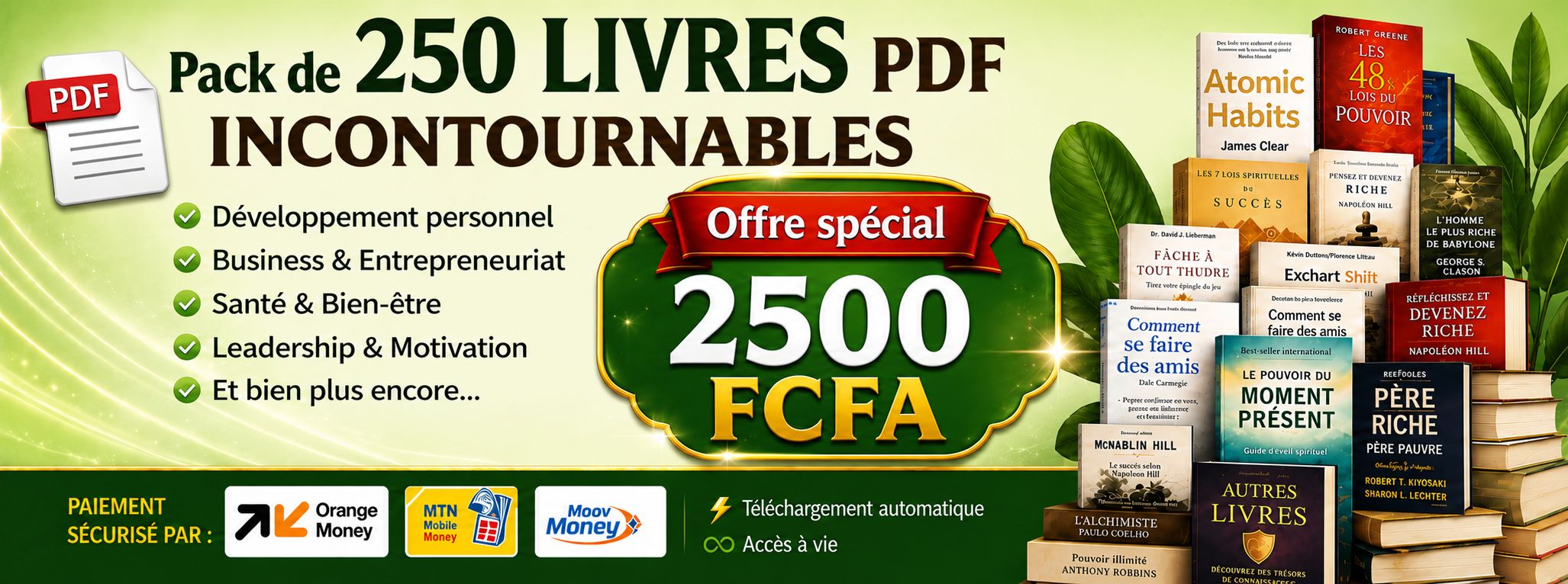 Pack de 250 livres PDF