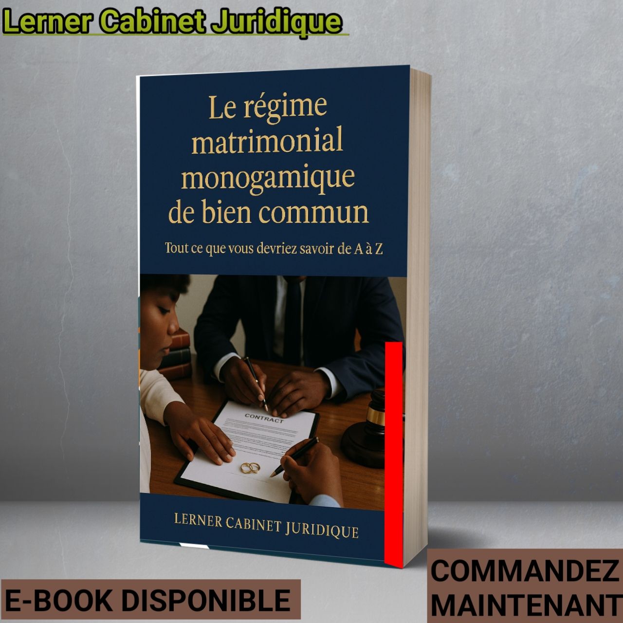 Le Régime matrimonial monogamique de bien commun