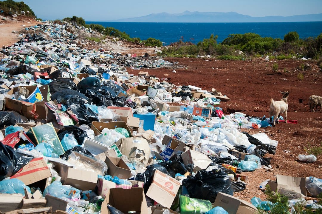 Rapport de stage Fogang Yanick - Droit à un environnement sain et déchets plastiques