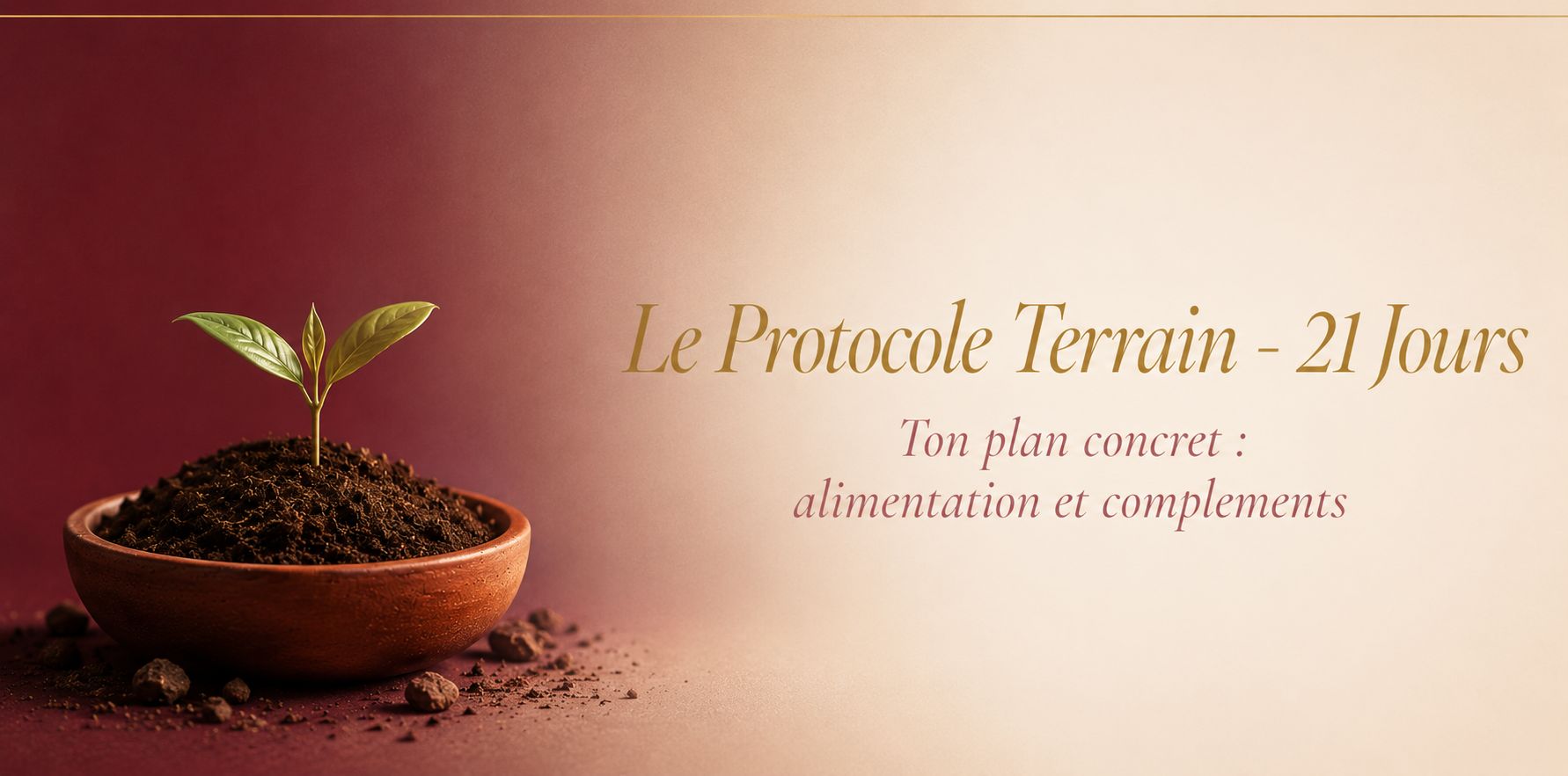 Protocole 21 jours