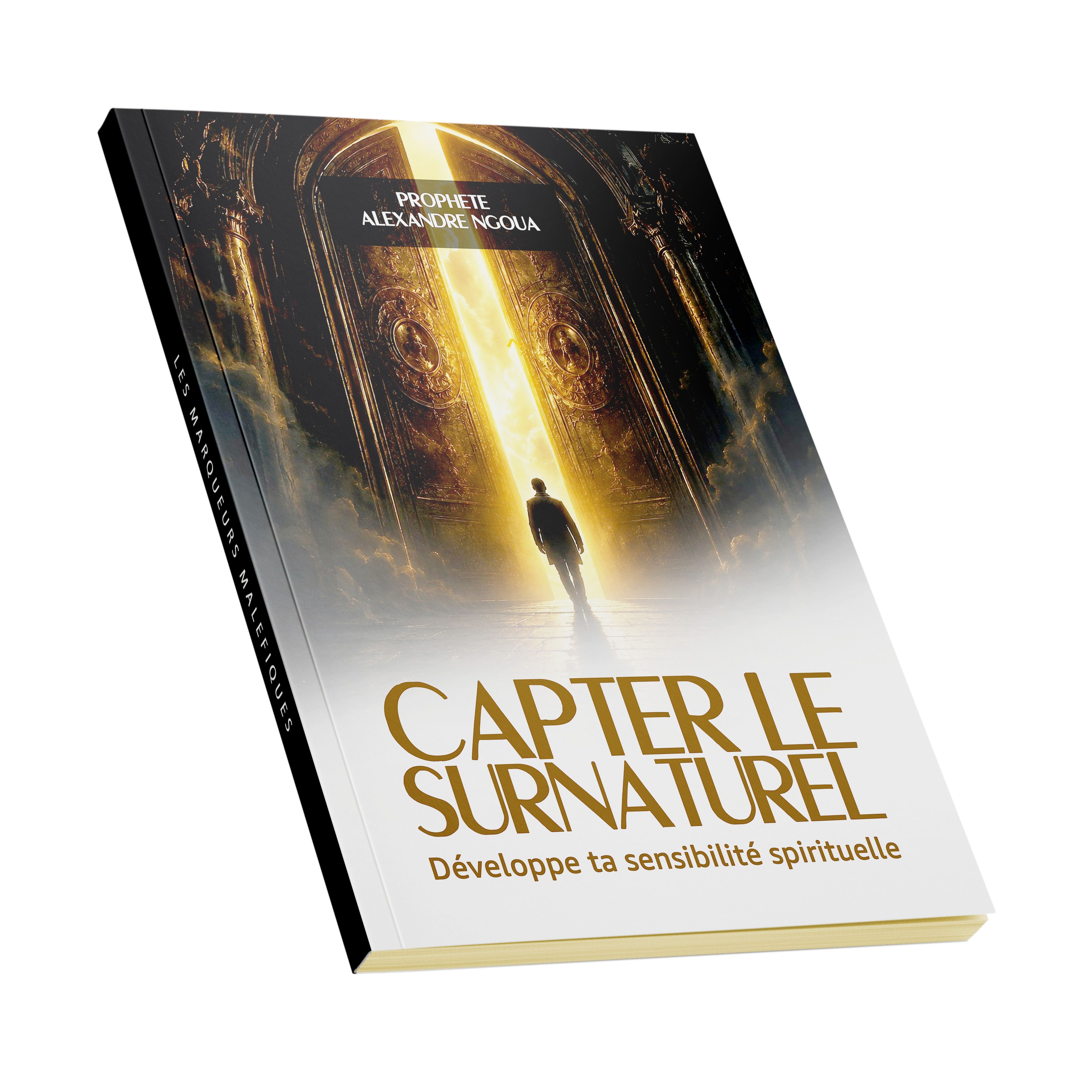 CAPTER LE SURNATUREL : Développe ta sensibilité spirituelle