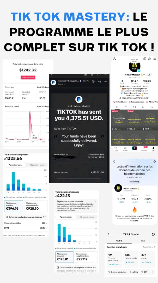 TIKTOK MASTERY ( Formation Complète )