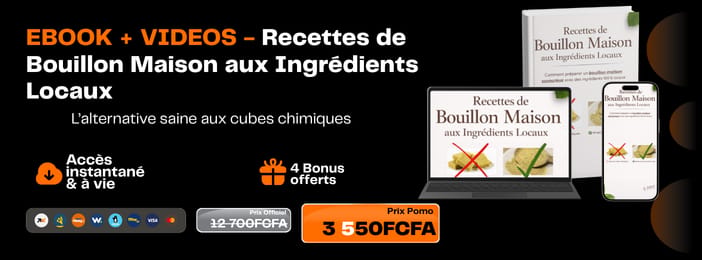 Apprenez à Faire Des Cubes Naturels aux Ingrédients Locaux Fait Maison– Ebook + Bonus Vidéo