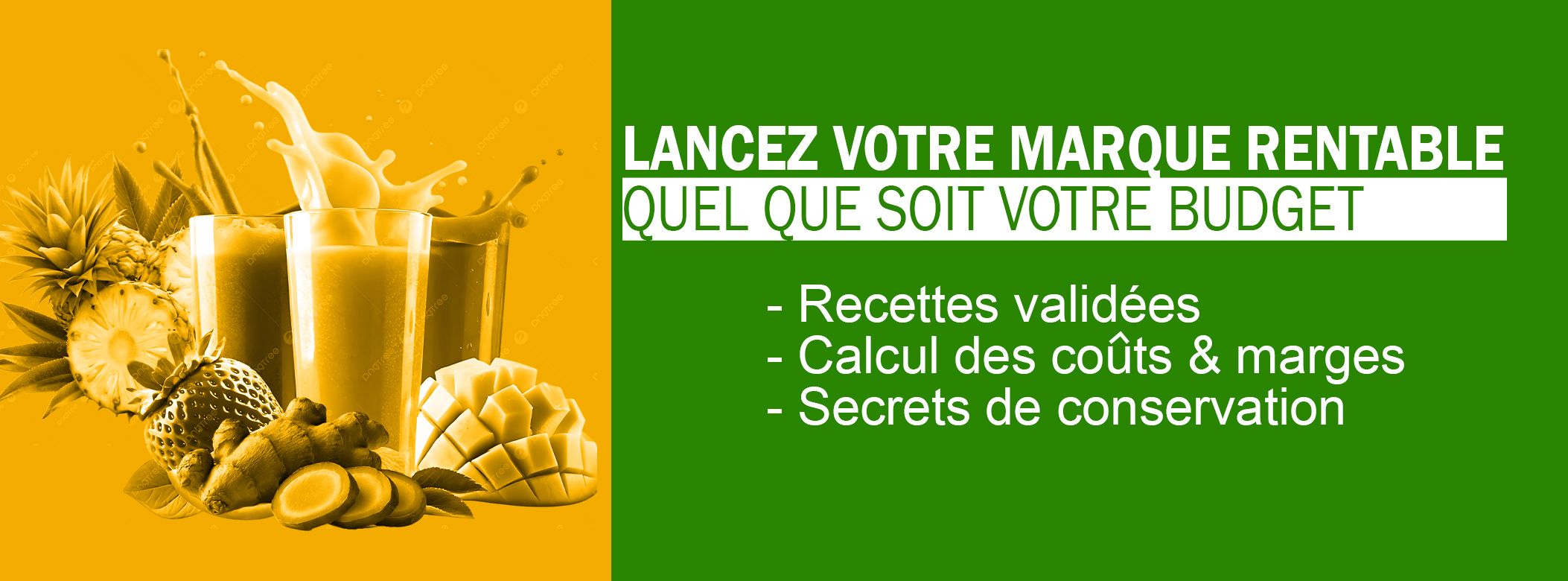 Comment Réussir dans le Business des Jus Naturels (Recettes & Stratégies)