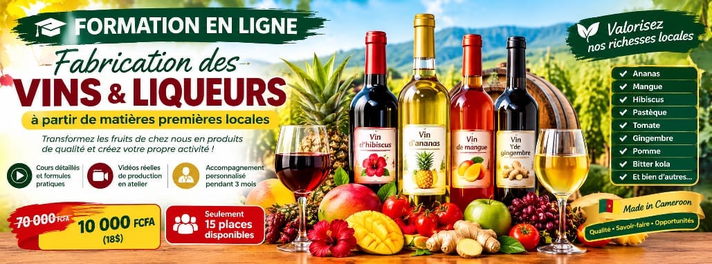 Production des vins locaux
