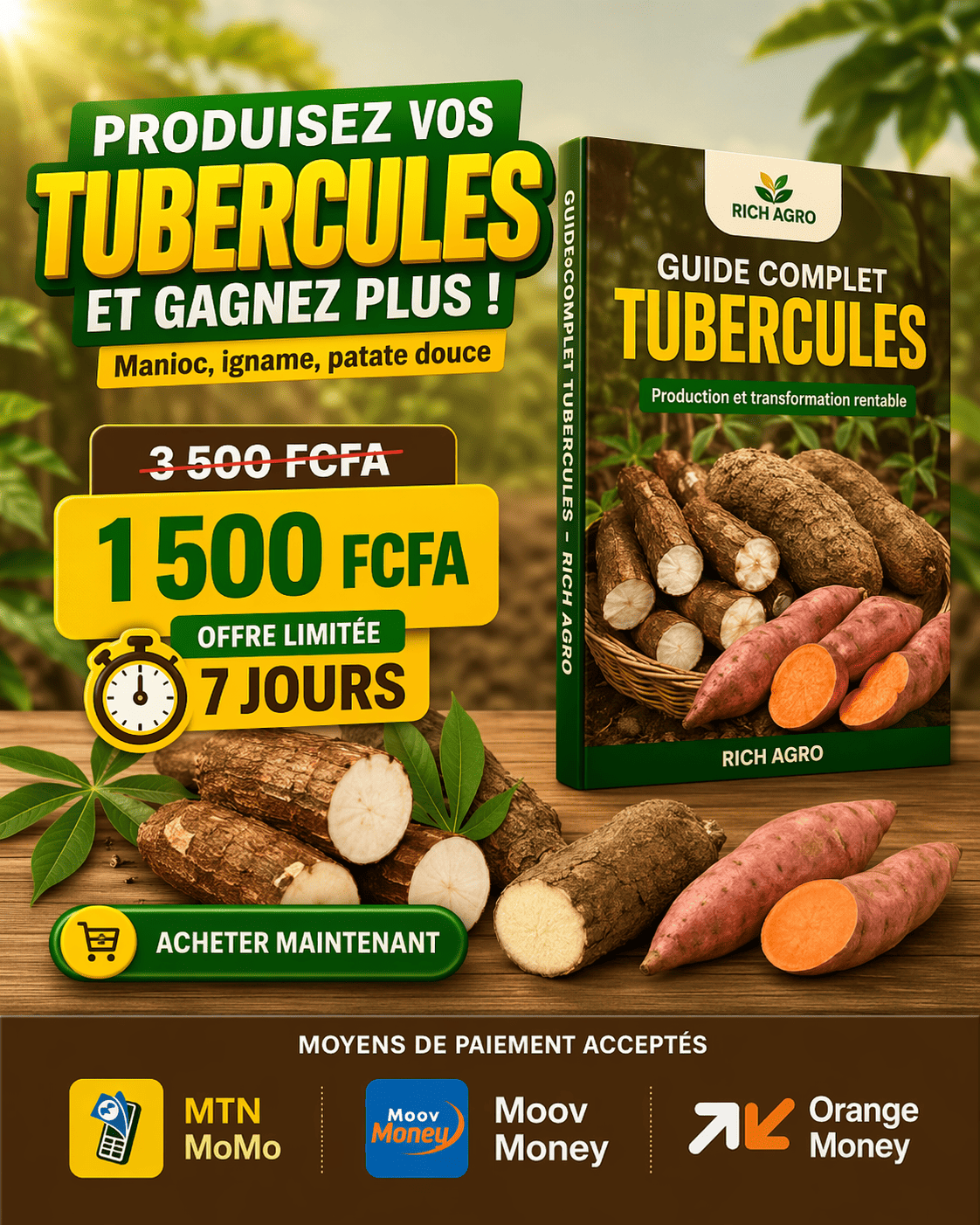 Production Réussie des Tubercules: Techniques Professionnelles pour Maximiser Vos Rendements