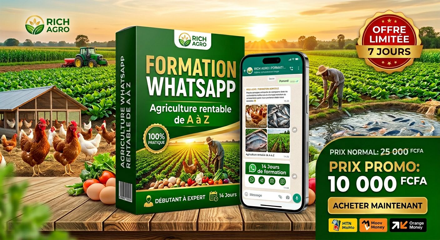 Formation WhatsApp Exclusive: Transformez Votre Terre en Exploitation Rentable