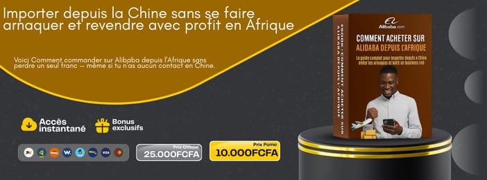 Importer depuis la Chine sans se faire arnaquer et revendre avec profit en Afrique