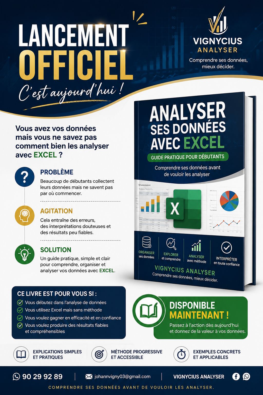 Excell pour l'analyse de données -guide pratique pour débuter