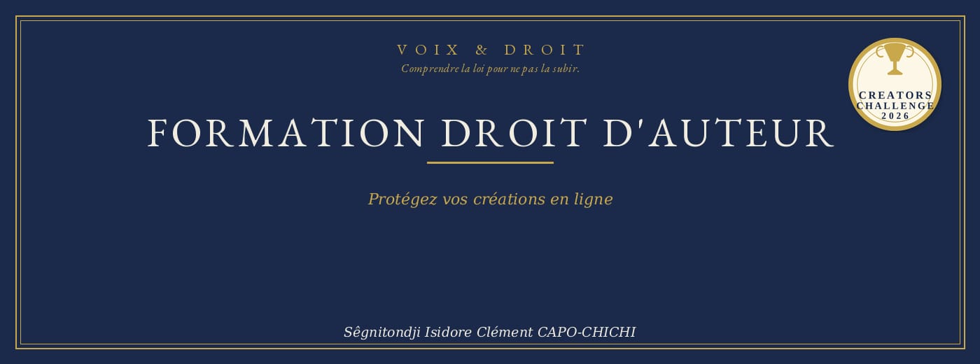 Formation Droit d'auteur : protégez vos créations en ligne