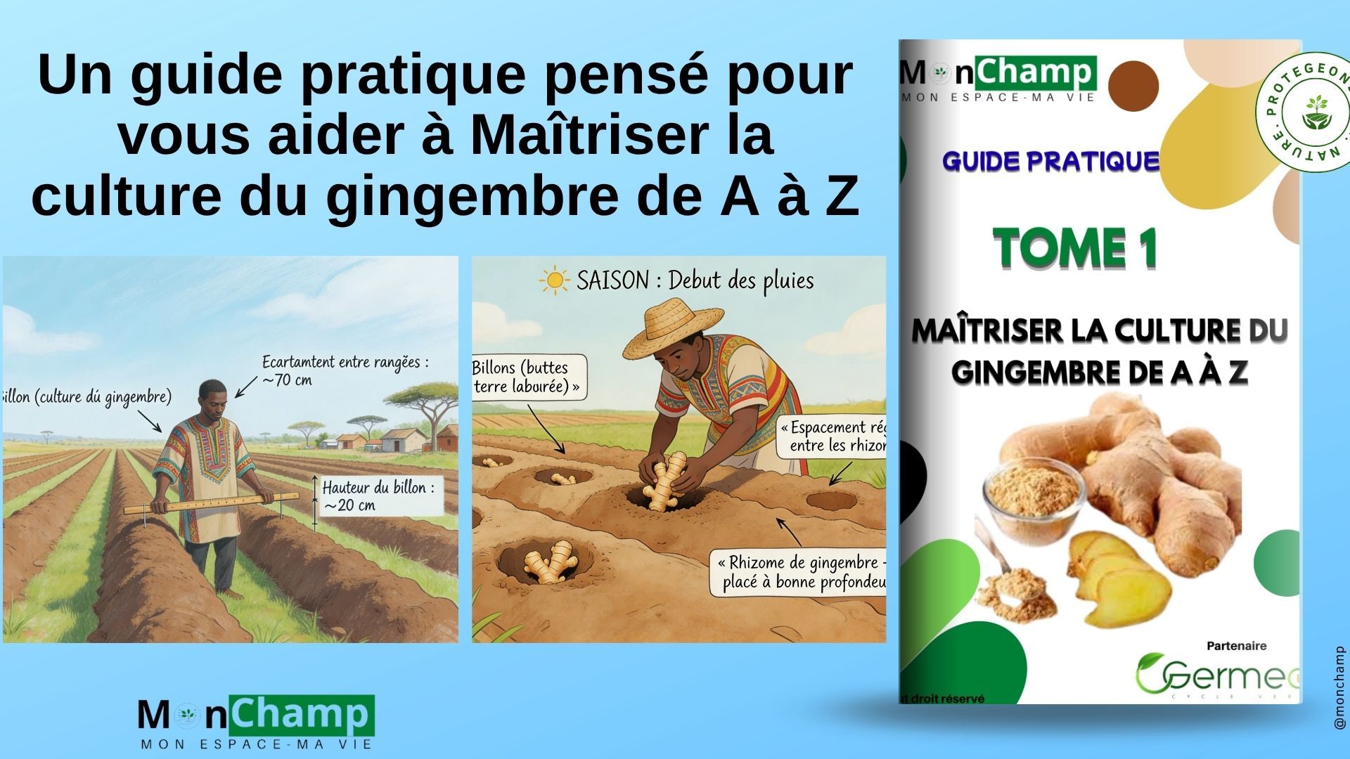 TOME 1: Formation culture du gingembre : Maîtriser la culture du gingembre de A à Z