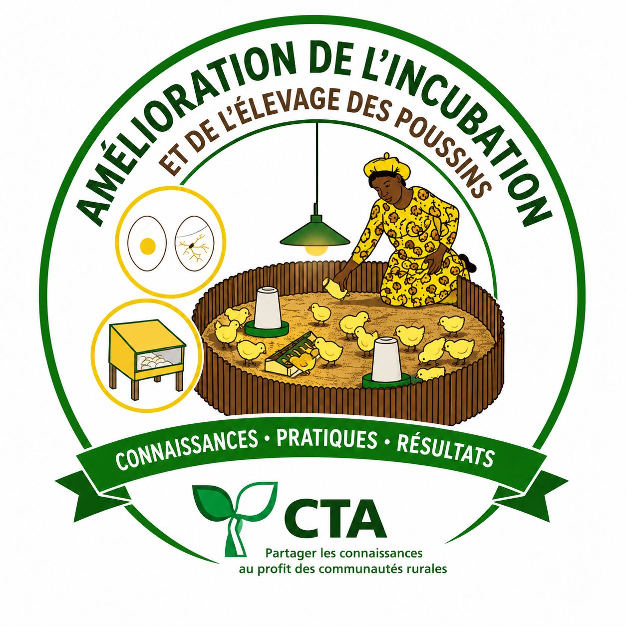 Amélioration de l’incubation et de l’élevage des poussins