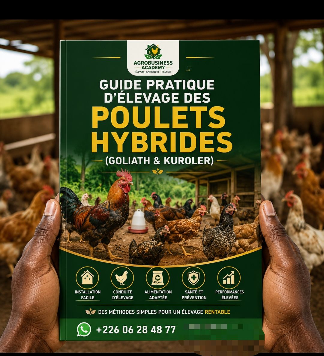 Guide pratique d'élevage des poulets hybrides (Goliath&Kuroler)
