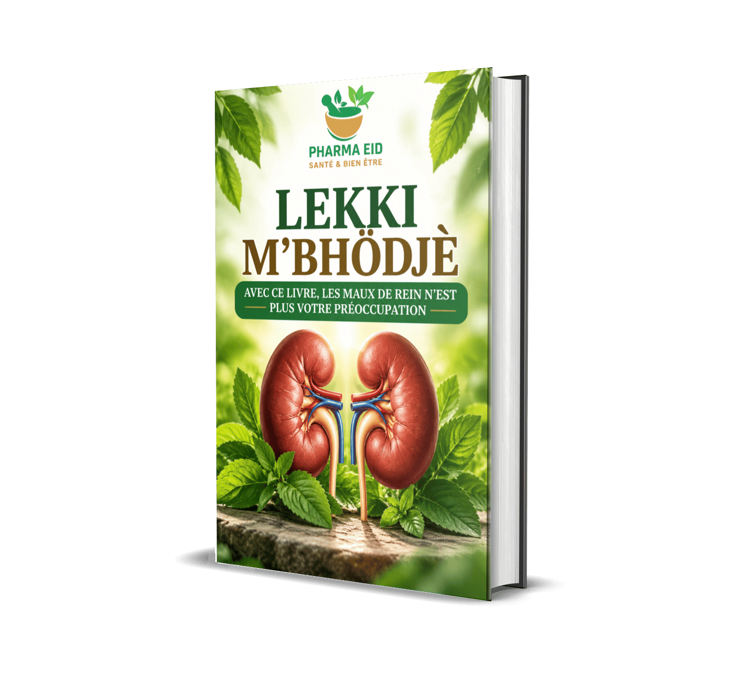 LEKKI M'BÖDJE