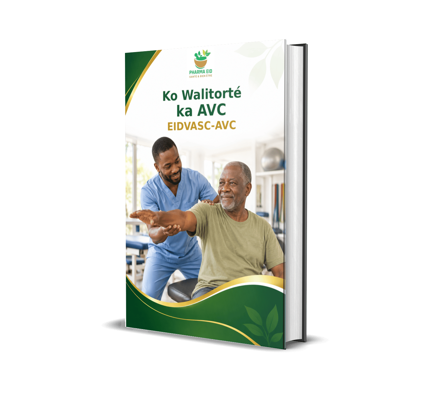 Ko Walitorté ka AVC (EIDVASC-AVC)
