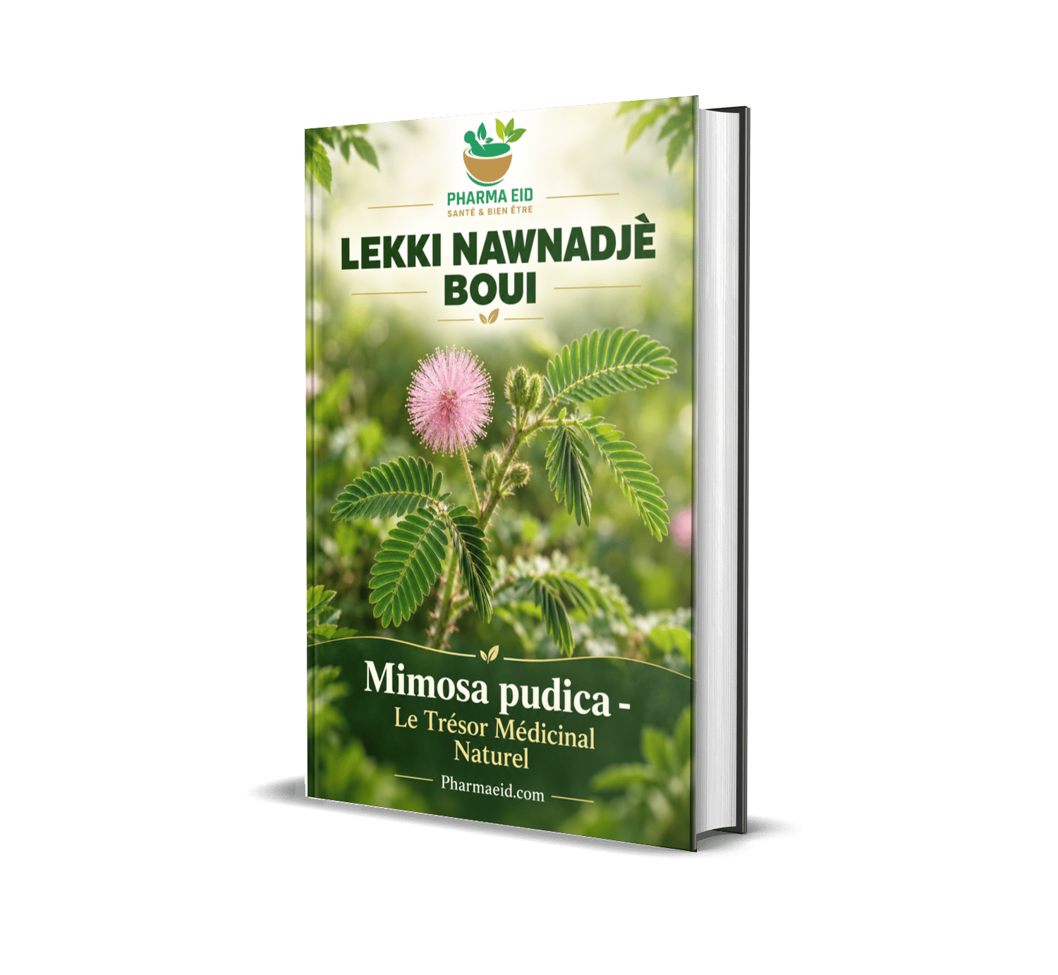 LEKKI NAWNADJE BOUI (Les maladies soignées par le Mimosa Pudica)