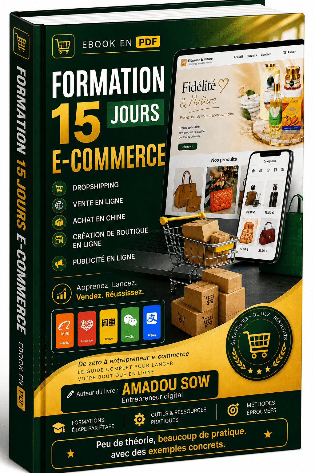 Formation 15 jours E-commerce en Afrique très pratique avec des exemples concrets