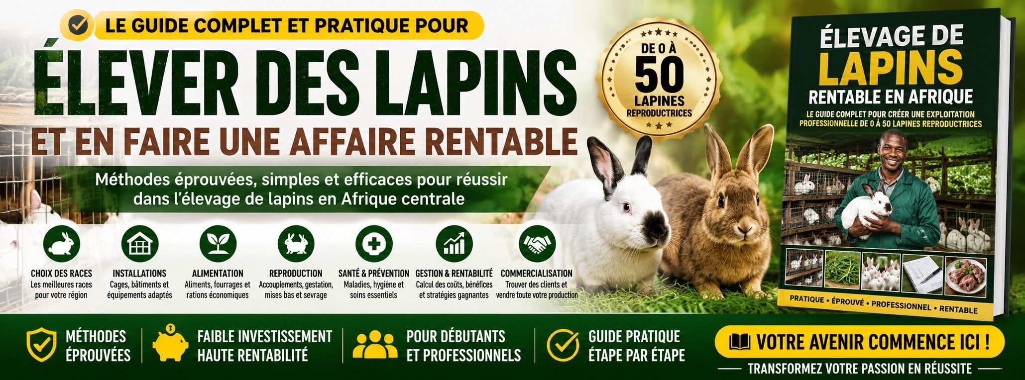 Le Guide Complet pour Créer une Exploitation Professionnelle de 0 à 50 Lapines Reproductrices