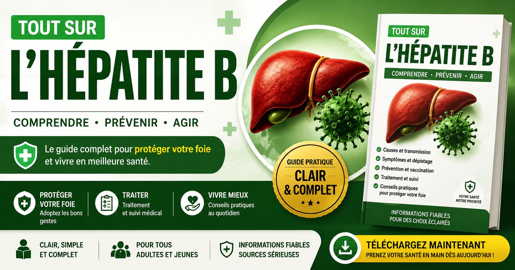 Tout sur l'hépatite B