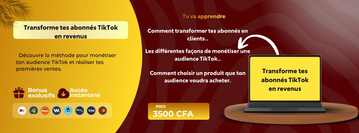 Transforme tes abonnés TikTok en revenus