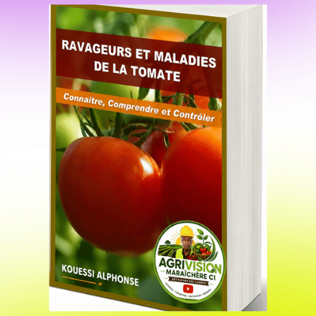 RAVAGEURS ET MALADIE DE LA TOMATE : connaître, comprendre et contrôler