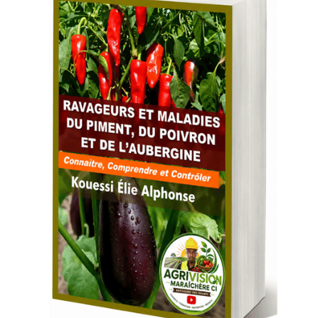 RAVAGEURS ET MALADIE DE PIMENT, POIVRON ET AUBERGINE đ