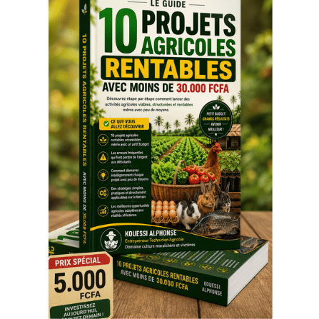 LE GUIDE : 10 PROJETS AGRICOLE RENTABLE AVEC MOINS DE 30.000 FRCS