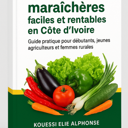 10 CULTURES MARAÎCHÈRES FACILES ET RENTABLES EN CÔTE D’IVOIRE ET EN AFRIQUE