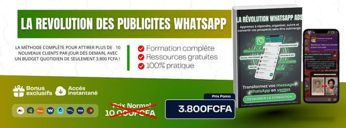 LA VENTE SUR WHATSAPP : LA REVOLUTION DES PUBLICITES WHATSAPP
