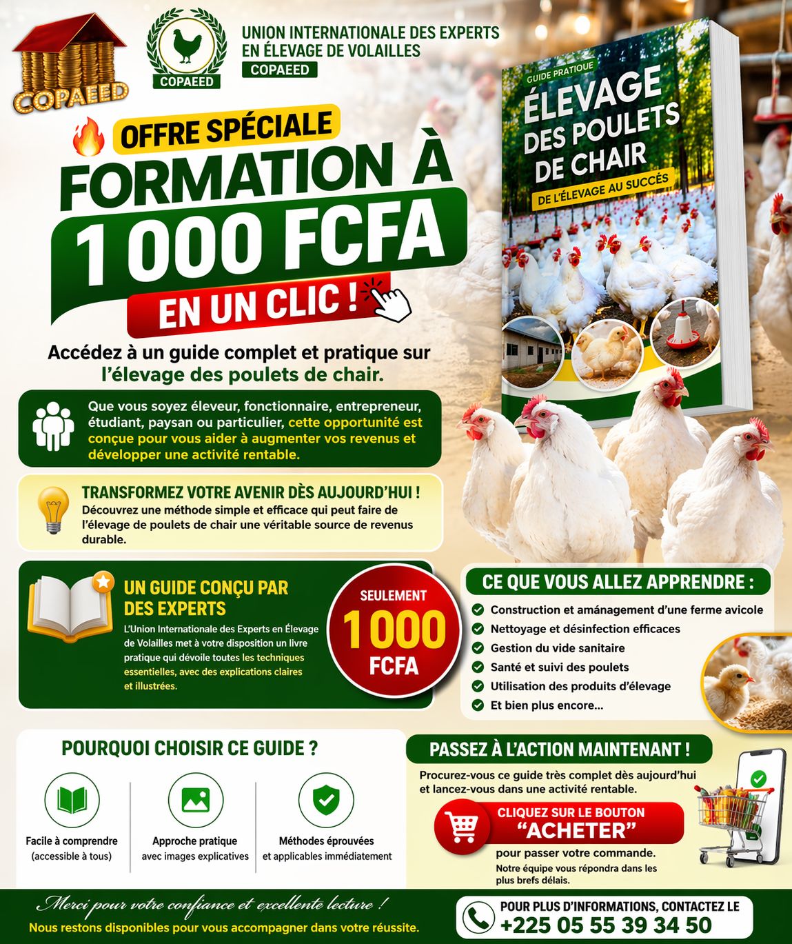 Connaitre tout ce qu'il faut sur les poulets de chair