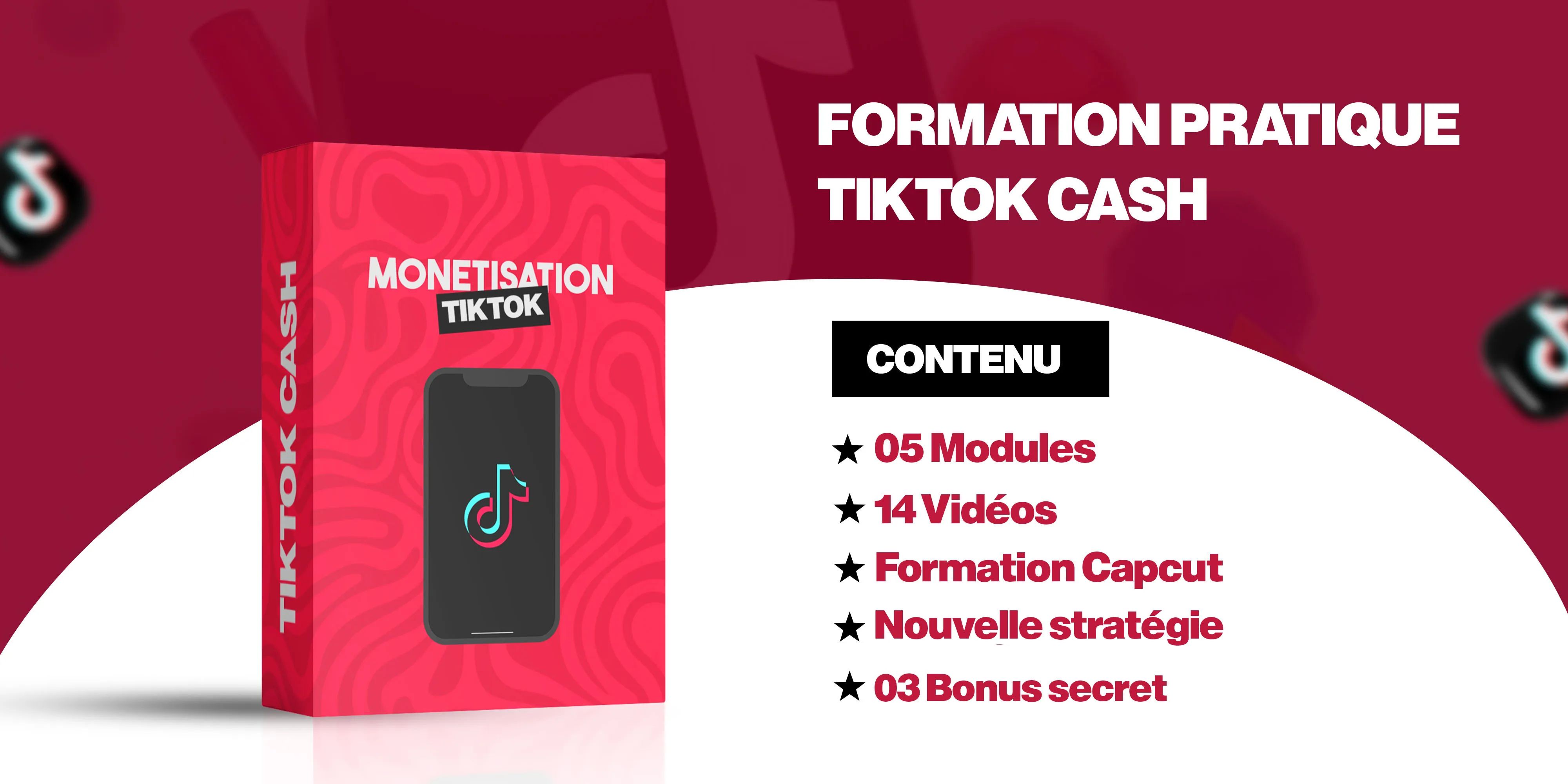 Formation Complète : Monétiser TikTok en Afrique - De Zéro à Pro en 5 Modules !