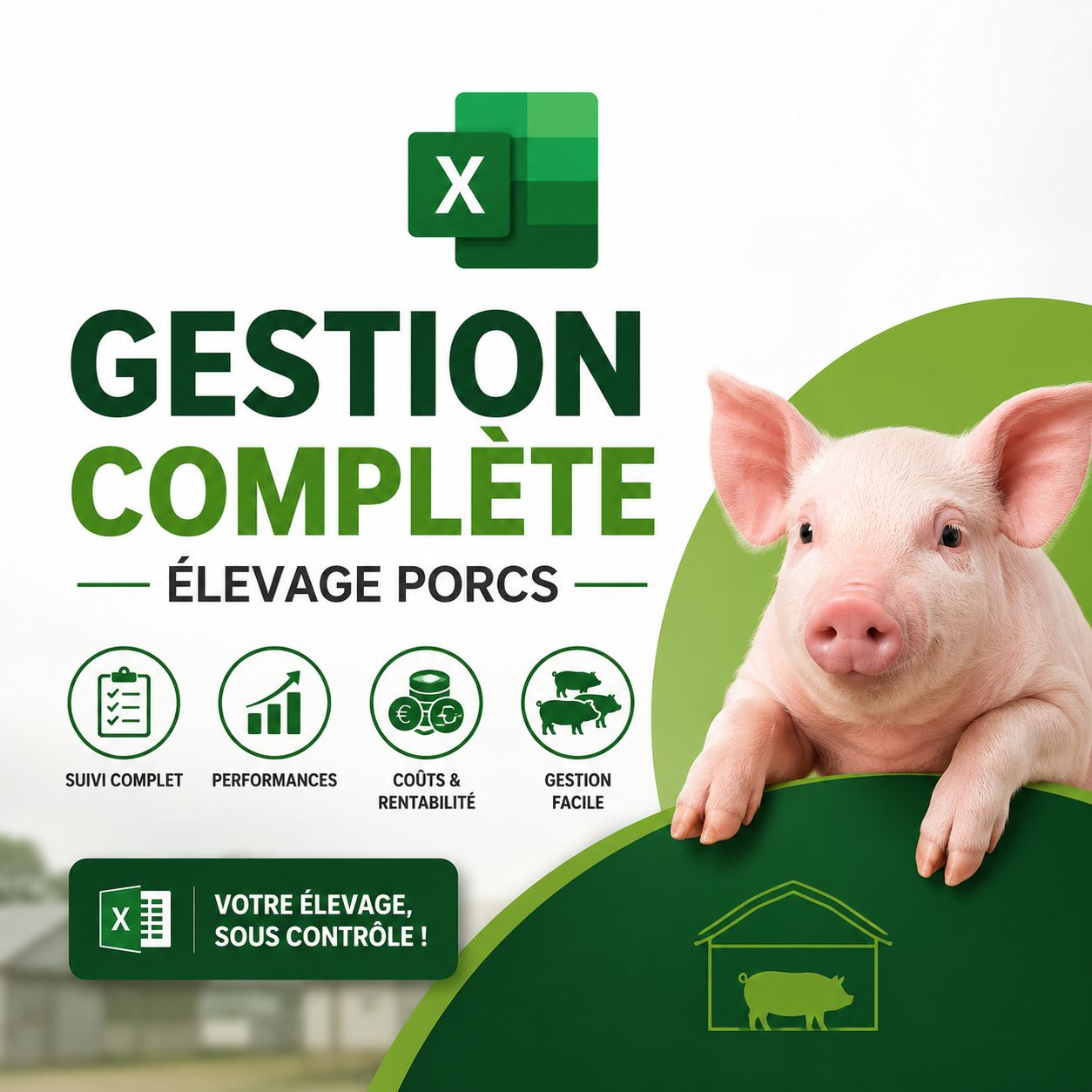 Gestion élevage de Porcs