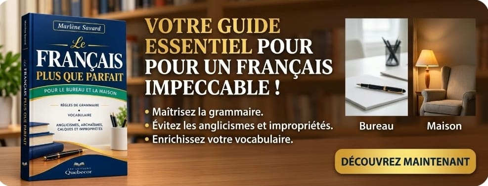 LE FRANÇAIS CORRECT