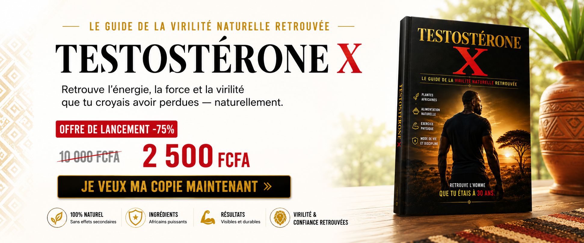 Testostérone X : Retrouvez Votre Énergie et Votre Libido en 14 Jours naturellement