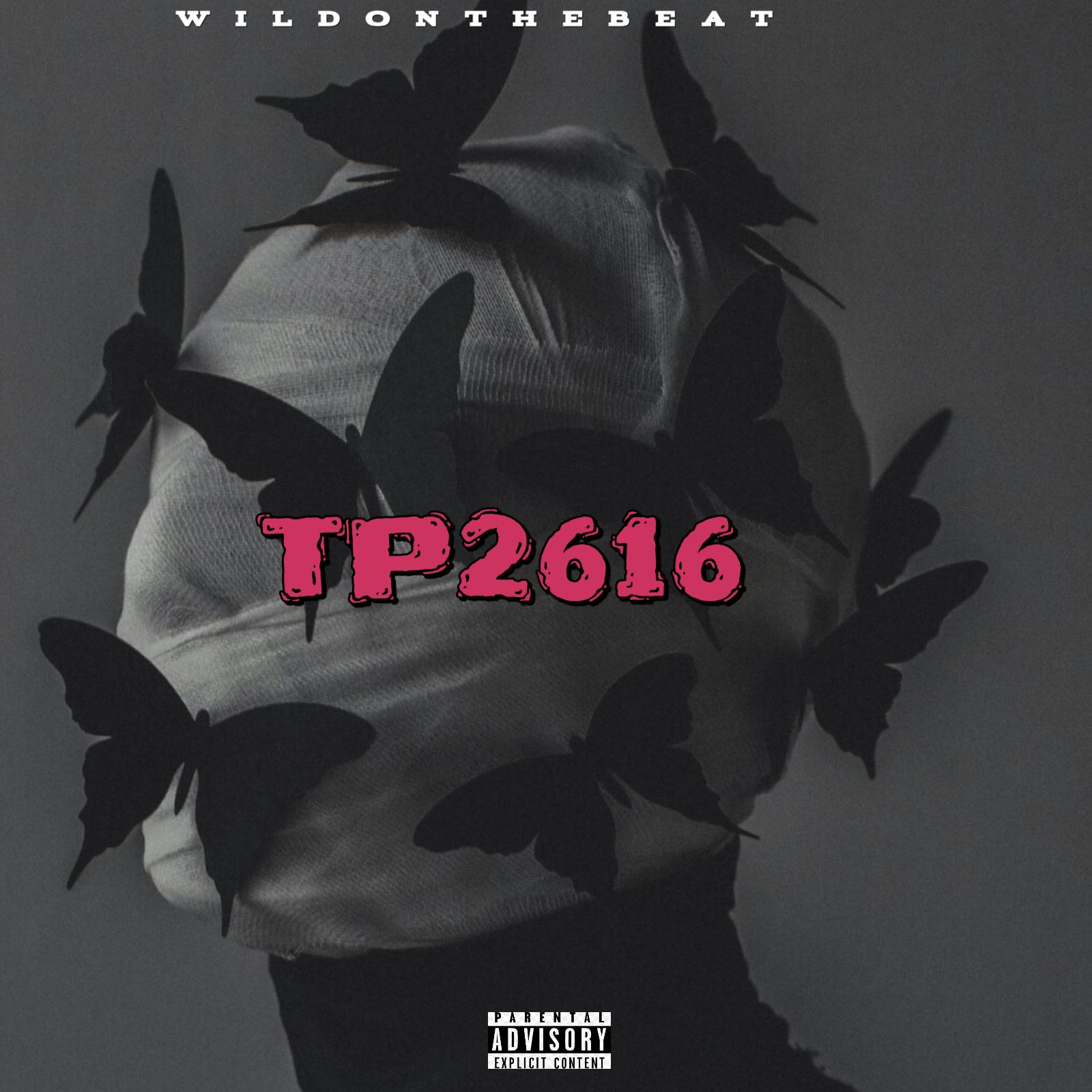 TP2616