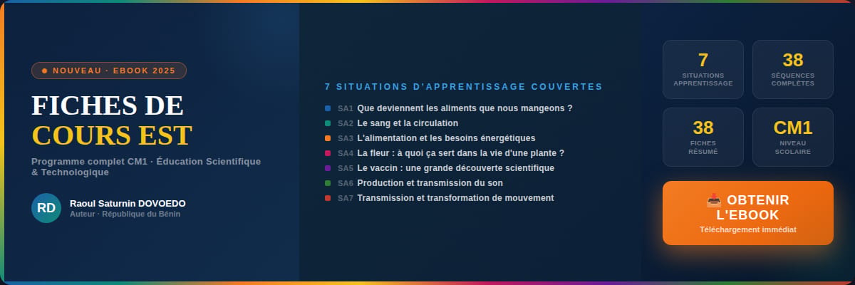FICHES DE RÉSUMÉ EST CM1