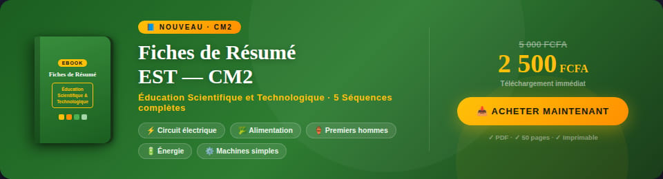 Fiches de Résumé — Éducation Scientifique et Technologique | CM2
