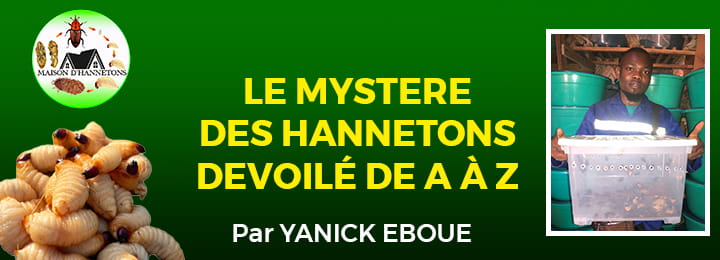Le mystere des hannetons devoilé de A à Z