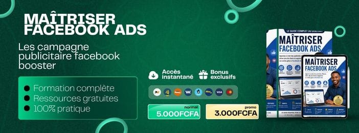 Maîtriser Facebook Ads : Le guide complet du débutant »,