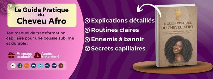 Le Guide Pratique du Cheveu Afro