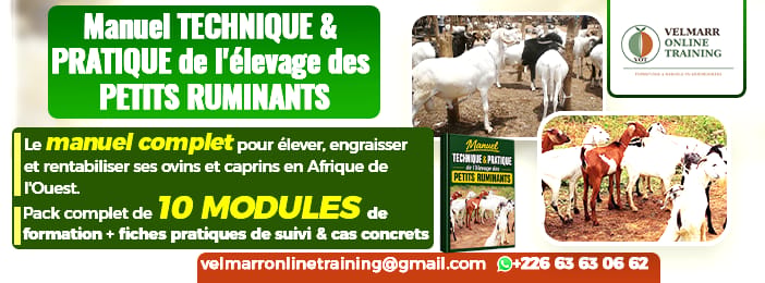 Manuel TECHNIQUE et PRATIQUE de l'élevage des PETITS RUMINANTS