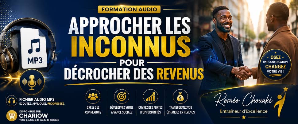 APPROCHER LES INCONNUS POUR DÉCROCHER DES REVENUS (copy)