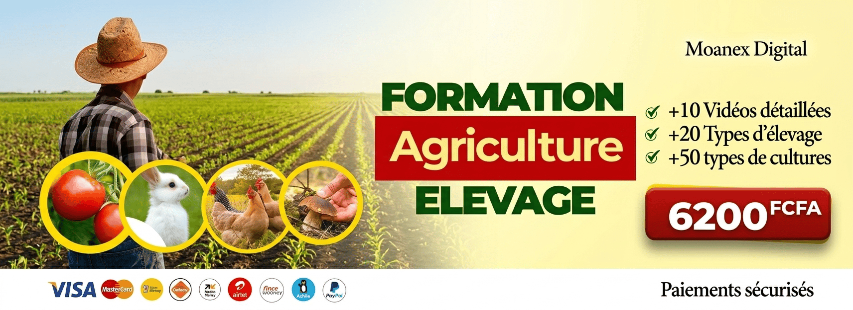 Formation Vidéo en Agriculture et Élevage – Devenez un Expert Agropastoral