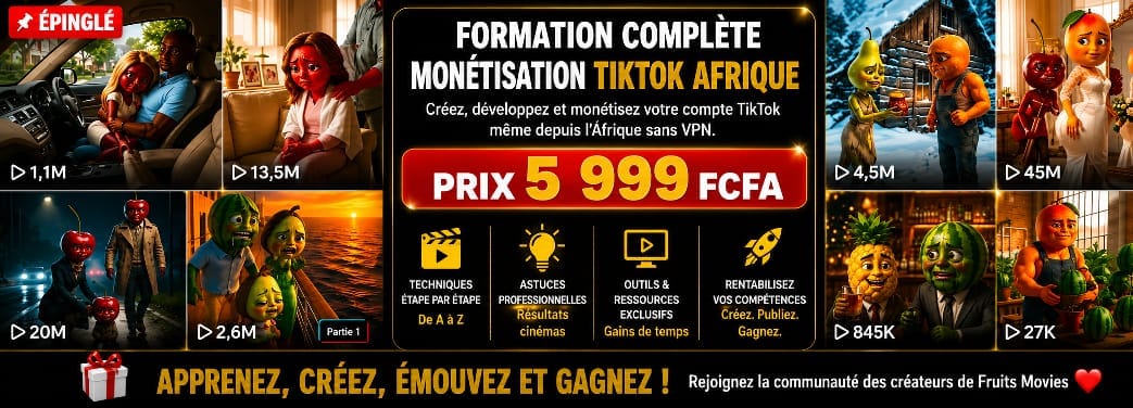 TikTok Premium+ – Formation Complète Monétisation TikTok Afrique