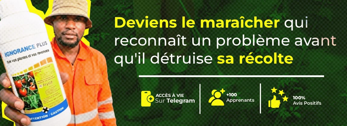 Les Phytos et leurs péripéties (Formation vidéo sur la gestion des maladies)