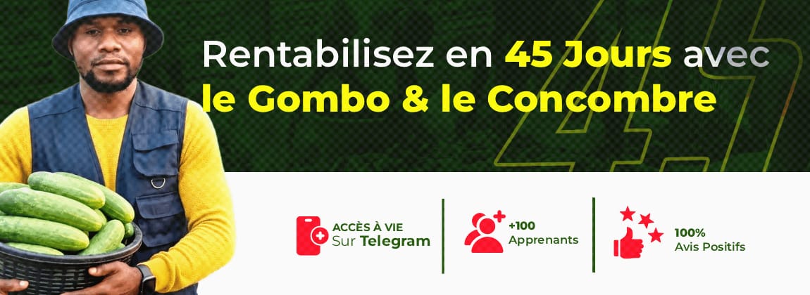 Les Cultures de 45 Jours (Formations Vidéo sur le Concombre, Gombo & Pastèque)