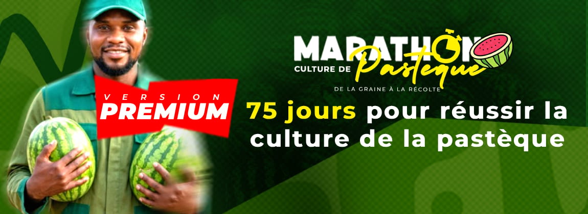 Marathon de la Culture de Pastèque