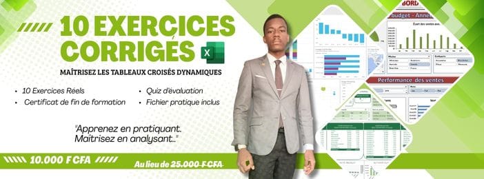 Excel TCD Pro - Formation 100 % Pratique ( 10 Exercices Corrigés )